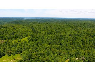 Property photo 20 - LAND AUCTION - 1,682+/- ACRES OFFERED IN 17 TRACTS IN LEWIS & GREENUP COUNTIES, KENTUCKY